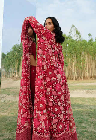 Mishru-Hot Pink Áine Draped Sari And Jacket Set-INDIASPOPUP.COM