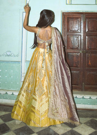 Mustard yellow zari tissue lehenga set