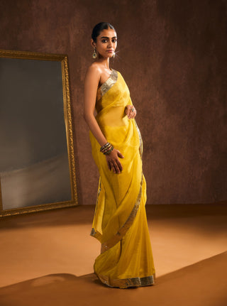 Kiran mustard sari