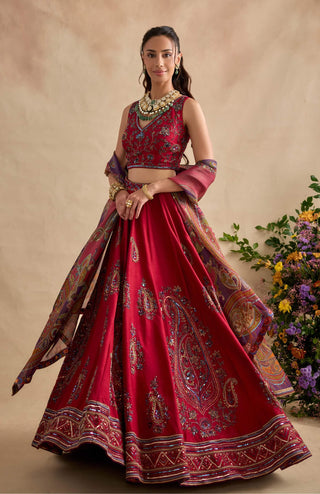 Aashna magenta lehenga set
