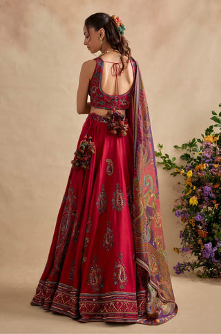 Aashna magenta lehenga set