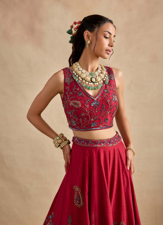 Aashna magenta lehenga set