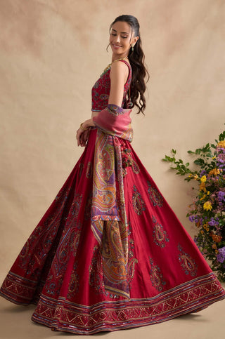 Aashna magenta lehenga set