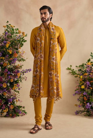 Aarush golden poppy kurta set