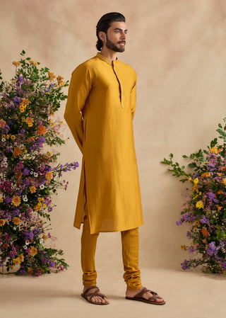 Aarush golden poppy kurta set