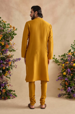 Aarush golden poppy kurta set