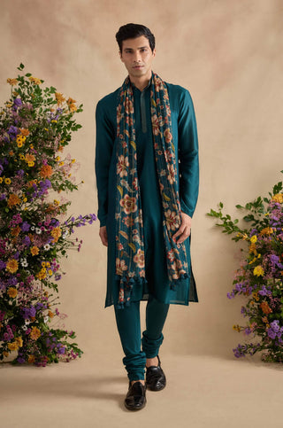 Aarush midnight green kurta set
