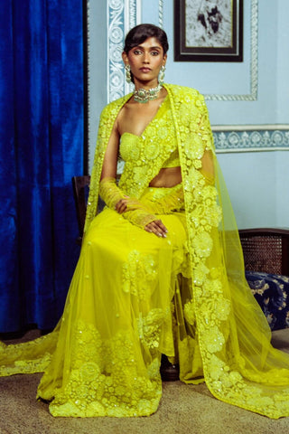 Adelline Lime Green Sari And Cape Set by Mishru, available on Indiaspopup.com