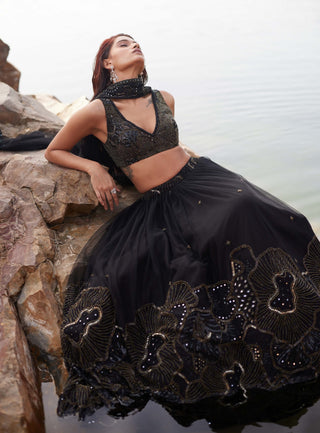 Ara black lehenga set