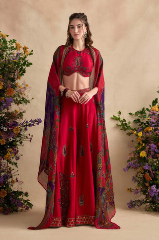 Aneeka crimson pink sharara set