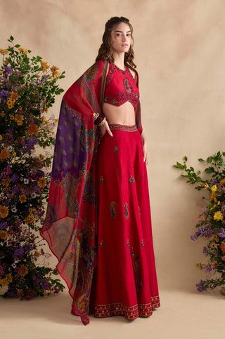 Aneeka crimson pink sharara set