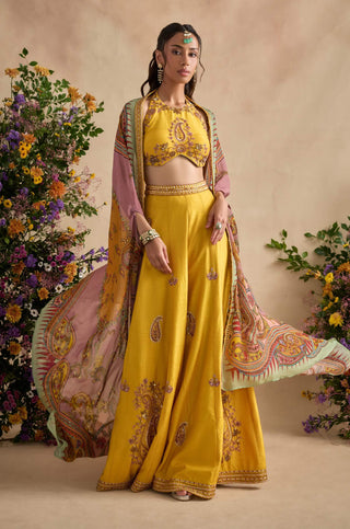 Aneeka amber sharara set
