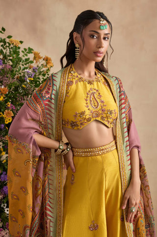 Aneeka amber sharara set