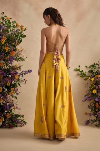 Aneeka amber sharara set