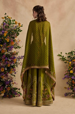 Raiba olive green sharara and cape set