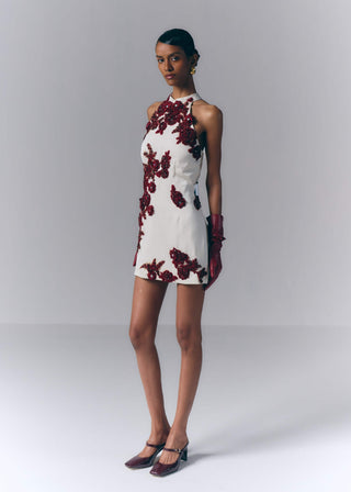 Crimson Bloom Mini Dress
