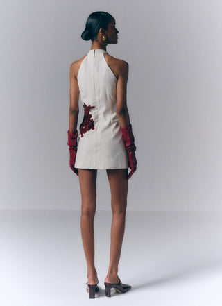 Crimson Bloom Mini Dress