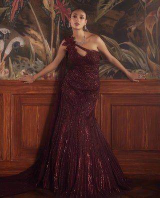 Cosmo maroon gown