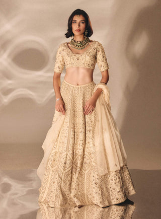 Beige gold mukesh zardosi lehenga set
