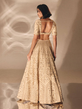 Beige gold mukesh zardosi lehenga set