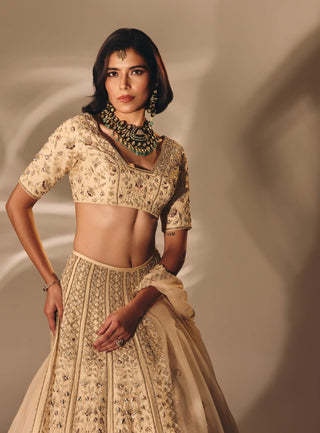 Beige gold mukesh zardosi lehenga set