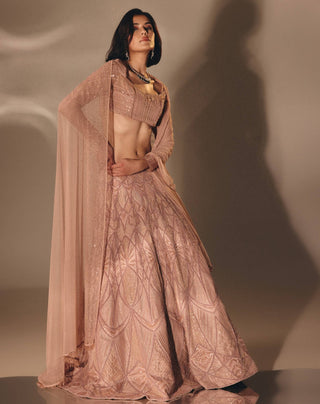 Onion pink cutdana sequin lehenga set