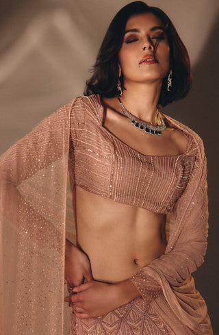 Onion pink cutdana sequin lehenga set