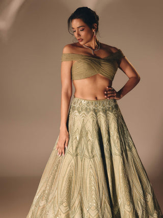 Sage green cutdana sequin lehenga set