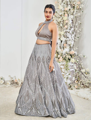 Lotus dusty gray lehenga set