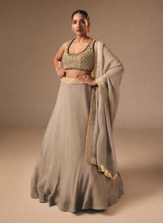 Light green organza velvet lehenga set