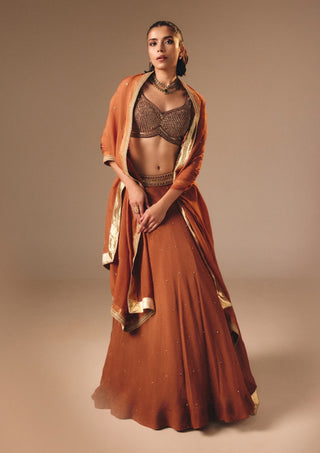 Rust brown organza velvet lehenga set