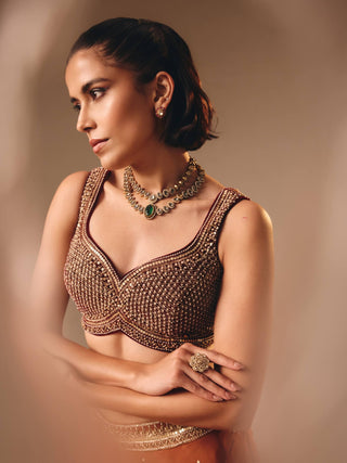 Rust brown organza velvet lehenga set