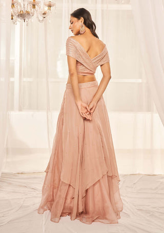 Disha Muchhala-Blush Pink Layered Lehenga And Blouse-INDIASPOPUP.COM