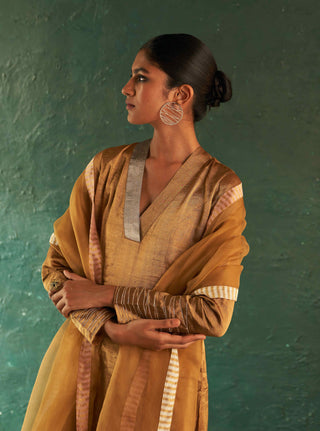 Charkhee-Classic Gold Tissue Straight Kurta Set-INDIASPOPUP.COM