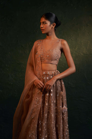 Charkhee-Ginger Fawn Lehenga Set-INDIASPOPUP.COM