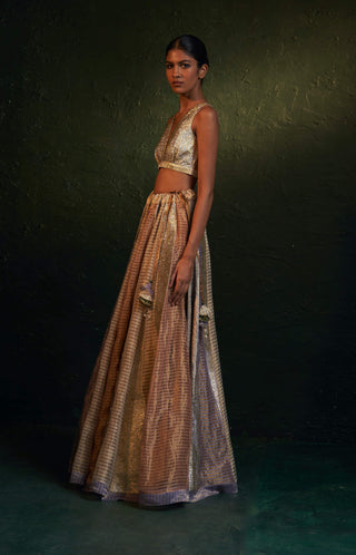 Charkhee-Multicolor Panelled Lehenga Set-INDIASPOPUP.COM