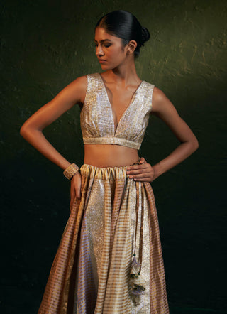 Charkhee-Multicolor Panelled Lehenga Set-INDIASPOPUP.COM