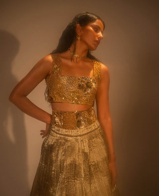 Goldusion Lehenga And Blouse by Taali available on Indiaspopup.com