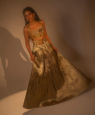 Goldusion Lehenga And Blouse by Taali available on Indiaspopup.com