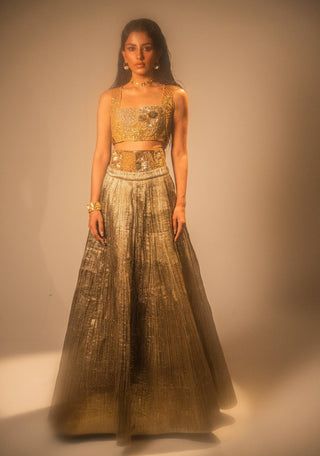 Goldusion lehenga and blouse