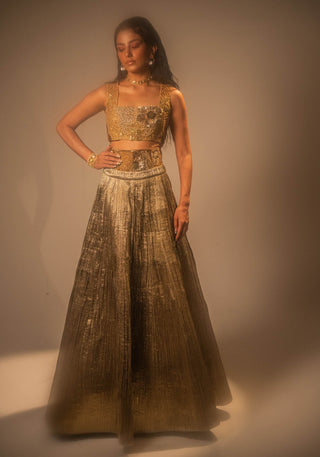 Goldusion Lehenga And Blouse by Taali available on Indiaspopup.com