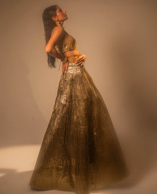 Goldusion Lehenga And Blouse by Taali available on Indiaspopup.com