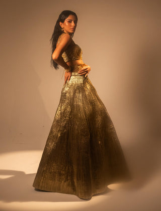 Goldusion Lehenga And Blouse by Taali available on Indiaspopup.com