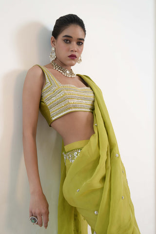 Embar Lime Green Sari And Blouse by Rishi & Vibhuti available on Indiaspopup.com