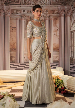 Angelic silver sari skirt and blouse