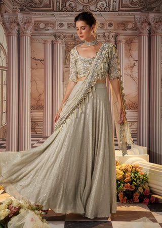 Angelic silver sari skirt and blouse