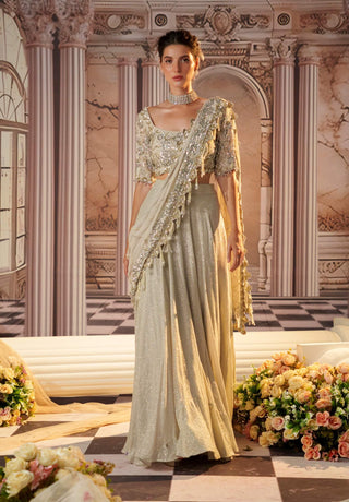 Angelic silver sari skirt and blouse