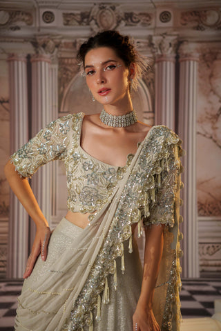 Angelic silver sari skirt and blouse