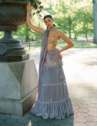 Gray tiered sari and blouse