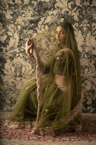 Jigar And Nikita-Olive Green Net Sari Set-INDIASPOPUP.COM
